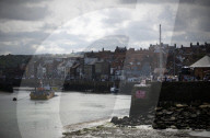 'We just want the truth': British coastal towns fight for answers over mystery sealife deaths