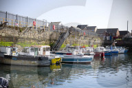 'We just want the truth': British coastal towns fight for answers over mystery sealife deaths