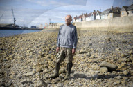 'We just want the truth': British coastal towns fight for answers over mystery sealife deaths