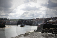 'We just want the truth': British coastal towns fight for answers over mystery sealife deaths