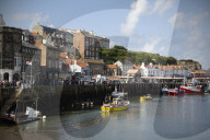 'We just want the truth': British coastal towns fight for answers over mystery sealife deaths