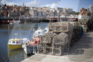 'We just want the truth': British coastal towns fight for answers over mystery sealife deaths