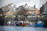 'We just want the truth': British coastal towns fight for answers over mystery sealife deaths