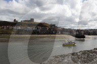 'We just want the truth': British coastal towns fight for answers over mystery sealife deaths