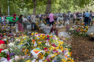 members of the public lay flowers in green Park, London