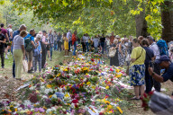 members of the public lay flowers in green Park, London