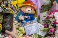 members of the public lay flowers in green Park, London