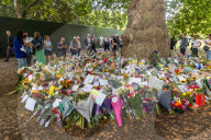 members of the public lay flowers in green Park, London