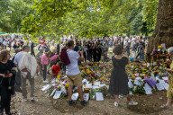 members of the public lay flowers in green Park, London
