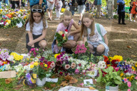 members of the public lay flowers in green Park, London