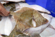 Offshore wind could blow us out of the water, say Cornish fishers.