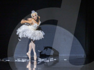 Les Ballets Trockadero de Monte Carlo review - arabesques, pratfalls and a swan on wheels