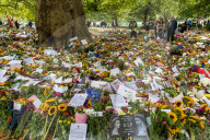 Mourners pay their respects and lay flowers in Green Park London