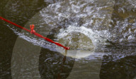 'We are not going away': the volunteers fighting back against England's polluted rivers.