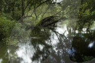 'We are not going away': the volunteers fighting back against England's polluted rivers.