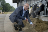 Ash Amirahmadi of Arla: 'I thought milk was boring. Little did I know'
