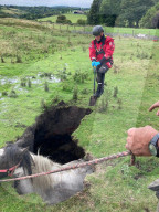 FEATURE - Tierrettung: Die Feuerwehr von County Durham und Darlington rettet ein Pferd aus einem Loch in einer Weide