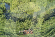 WarWilding: a new word to describe the startling effects of using nature as a weapon.