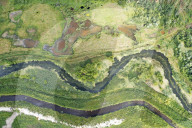 WarWilding: a new word to describe the startling effects of using nature as a weapon.