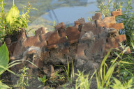 WarWilding: a new word to describe the startling effects of using nature as a weapon.