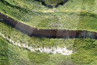 WarWilding: a new word to describe the startling effects of using nature as a weapon.