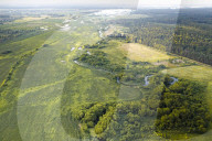 WarWilding: a new word to describe the startling effects of using nature as a weapon.
