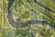 WarWilding: a new word to describe the startling effects of using nature as a weapon.