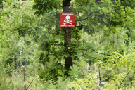 WarWilding: a new word to describe the startling effects of using nature as a weapon.