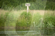 WarWilding: a new word to describe the startling effects of using nature as a weapon.
