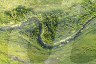 WarWilding: a new word to describe the startling effects of using nature as a weapon.