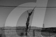 ‘Monstrosities in the farmland’: how giant warehouses transformed a California town.