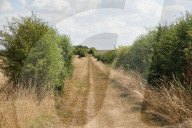 A fenland walk to a great pub: the Carpenters Arms, Cambridgeshire