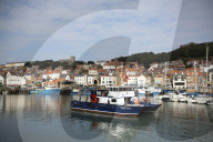 North Yorkshire puts seaweed at the heart of its carbon-negative ambitions