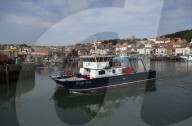 North Yorkshire puts seaweed at the heart of its carbon-negative ambitions