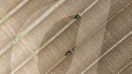 FEATURE - Bauern messen sich im genauen Pflügen beim 60. Pflugwettbewerb in Hampshire