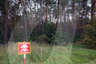 Danger in every step: the 'chaotic and complex' work of Ukraine’s de-miners