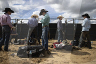 The 2022 Deni Ute Muster - in pictures