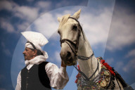 British Pakistanis find fraternity in cavalry sport of tent pegging