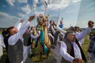 British Pakistanis find fraternity in cavalry sport of tent pegging