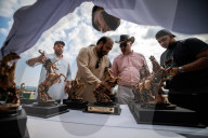 British Pakistanis find fraternity in cavalry sport of tent pegging