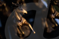 British Pakistanis find fraternity in cavalry sport of tent pegging