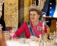 ROYALS - Holländische und schwedische Royals beim Staastbankett in Stockholm