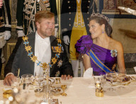 ROYALS - Holländische und schwedische Royals beim Staastbankett in Stockholm