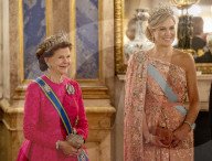 ROYALS - Holländische und schwedische Royals beim Staastbankett in Stockholm