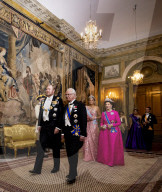 ROYALS - Holländische und schwedische Royals beim Staastbankett in Stockholm