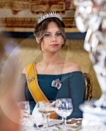 ROYALS - Holländische und schwedische Royals beim Staastbankett in Stockholm