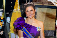 ROYALS - Holländische und schwedische Royals beim Staastbankett in Stockholm
