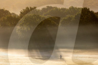 Misty sunrise Richmond Park London