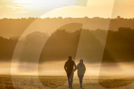 Misty sunrise Richmond Park London