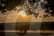 Misty sunrise Richmond Park London